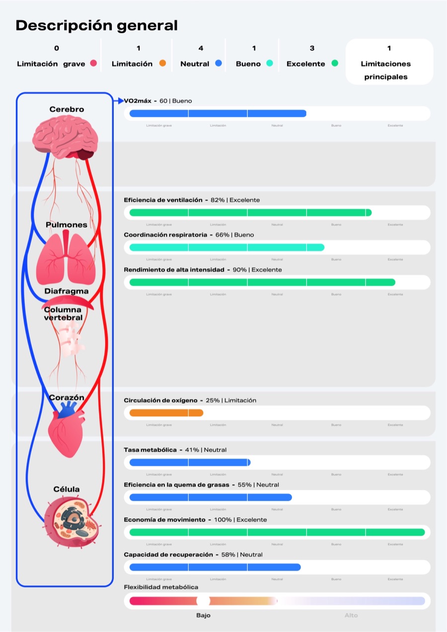 Informe: descripción general