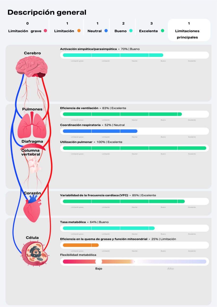 Informe en reposo